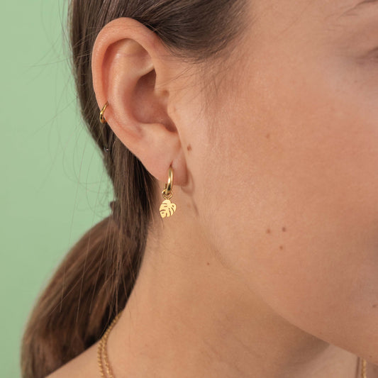 LITTLE LEAF Créoles